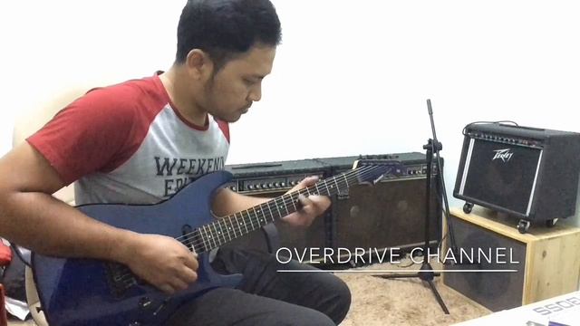 Fernandes The Function | Made In Japan 90s