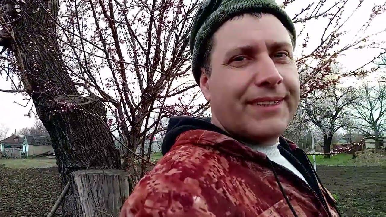 НАКОЧЕГАРИЛ / ПОСАДИЛИ КАРТОФЕЛЬ / ЕСЛИ БУДЕТ МОРОЗ... смотреть онлайн