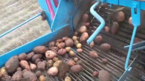 Комбайн Анна Z644 Мтз 82.1 На Уборке Картофеля! .