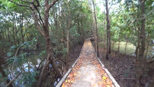 Серия 6. Поездка в #Краби Таун. Прогулка по мангровым лесам. Достопримечательности #Краби, #Тайланд смотреть онлайн