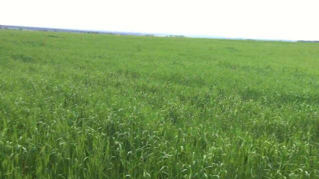 Состояние азимых на 27.05.2020 смотреть онлайн