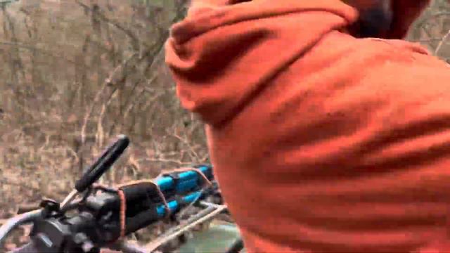 Exploring New Trails on The Bayou смотреть онлайн