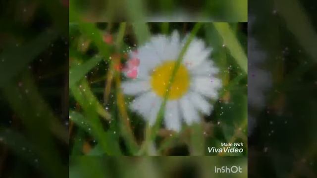 Я влюблена Стихи о любви Rita Matuchina смотреть онлайн