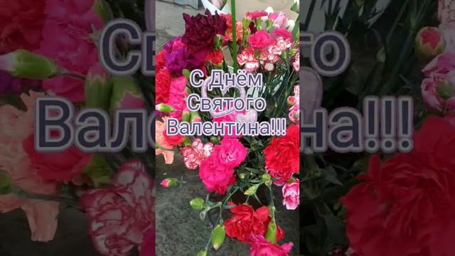 С Днём Святого Валентина!#музыкальнаяоткрытка #shоrts #доброеутро #сейчас #здорово #праздник #зима смотреть онлайн