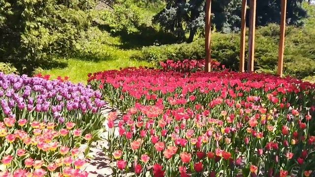 Весна майская смотреть онлайн
