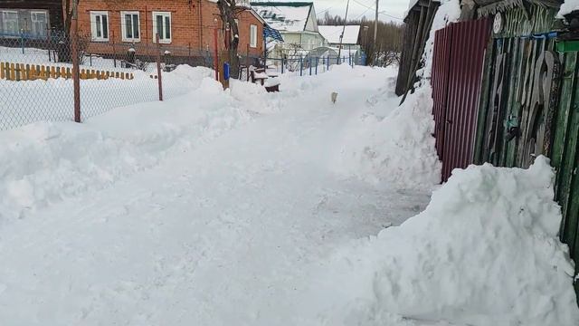 один день из жизни за городом 2 смотреть онлайн