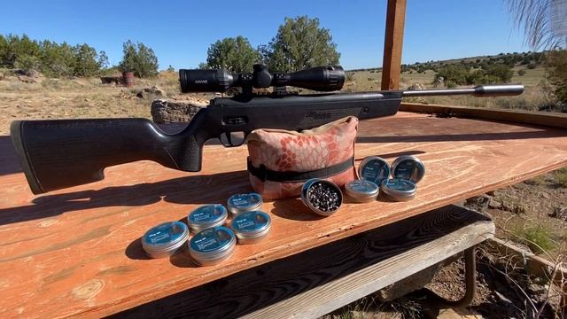 TESTING Slugs In A Break Barrel - H&N Slug test with SIG ASP20 смотреть онлайн
