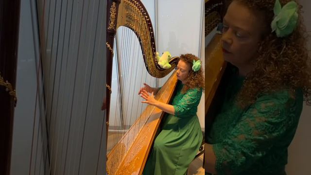 Matsuo Bashõ / Susann McDonald & Linda Wood - Haiku 23 смотреть онлайн