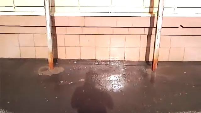 Пятерочка Чебоксары МГ12 смотреть онлайн