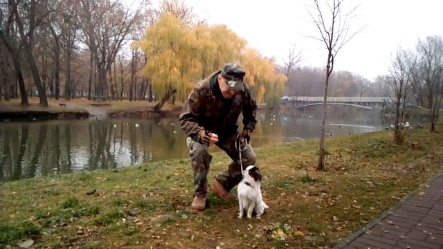 Как работает японский хин по ОКД. смотреть онлайн