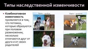 Биология 9 класс. Закономерности изменчивости
