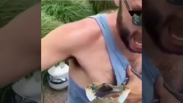 Видео,приколы,юмор,смех смотреть онлайн