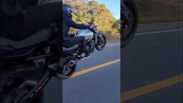 GRAU YAMAHA FZ6 смотреть онлайн