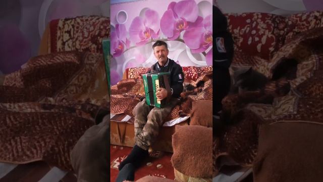 Играй гармонь любимая 🇷🇺🇷🇺🇷🇺 смотреть онлайн