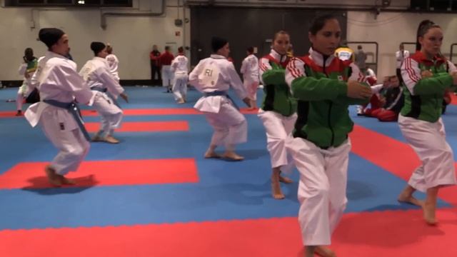 Teams warming up before the kata competition - 2014 World Karate Championships смотреть онлайн