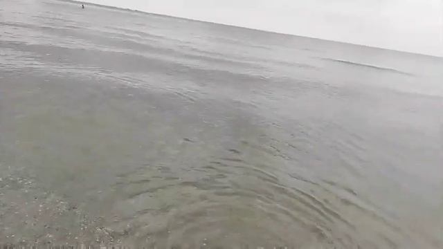 7 июля лазурное, стало меньше комаров - Лазурное, Отдых на море, Херсонская область, Море