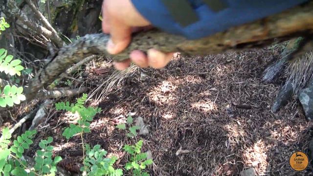 Алтай 2018 часть 3 (ледники Алтая) смотреть онлайн