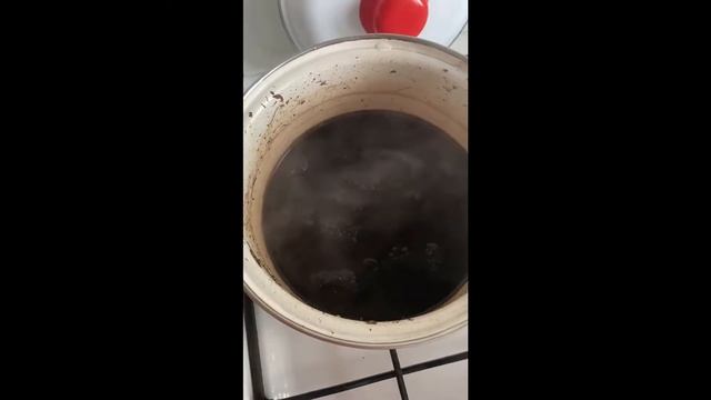 КАК СВАРИТЬ МОРИЛКУ ИЗ СОСНОВЫХ ШИШЕК