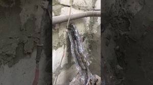 Ремонт бака Кия Каренс  Мастер Аргон Тел 8(926)070-86-79
