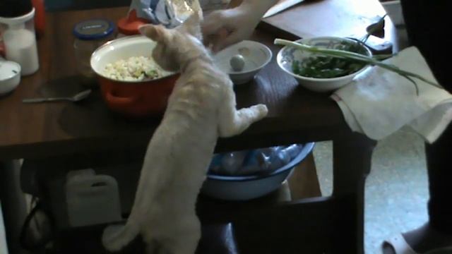 Окрошка секреты приготовления смотреть онлайн