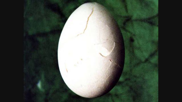 Acid Indigestion Part 1 - EBY (Ege Bam Yasi) - Basic-x смотреть онлайн