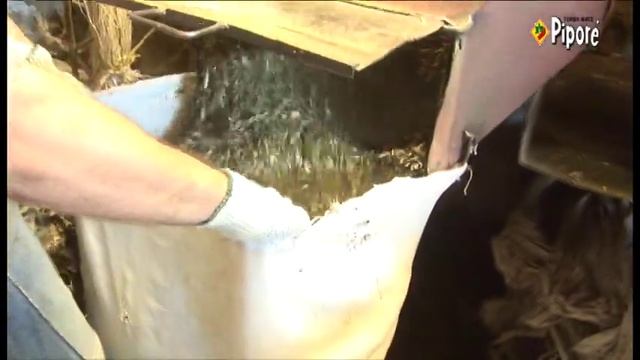 INGRID GRUDKE - Proceso de la Yerba Mate - PIPORE смотреть онлайн