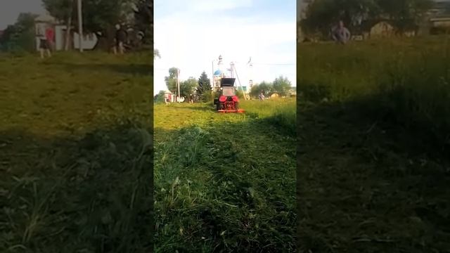 495-7416877 покос травы, покос газонов покос борщевика мини трактором. смотреть онлайн