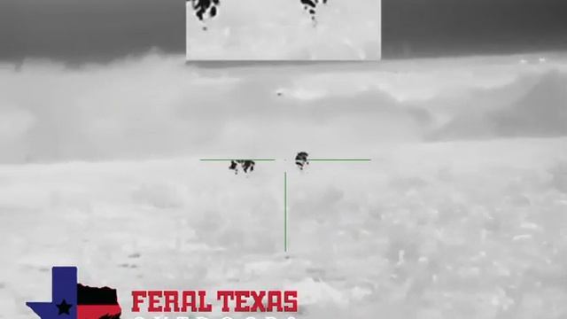 AGM Rattler TS50 640 Review