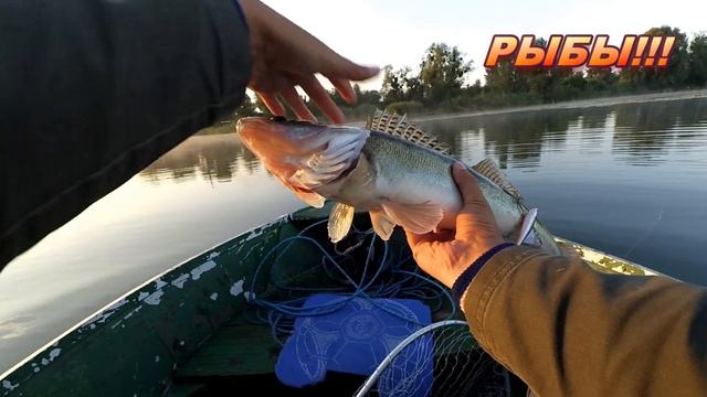 Канал о рыбалке. SК Fishing. Рыбалка, приманки (воблеры, силикон, блесны) и снасти! смотреть онлайн