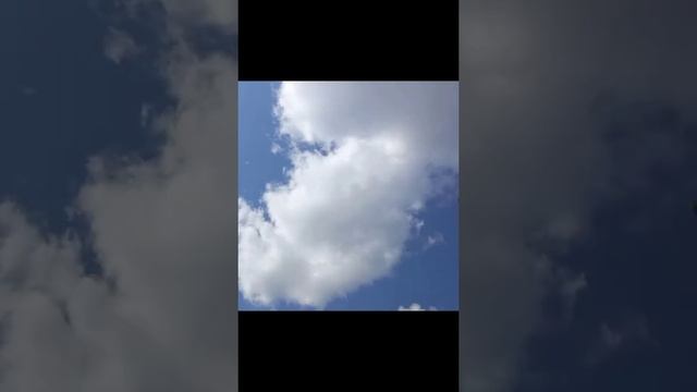 Make You A Believer смотреть онлайн