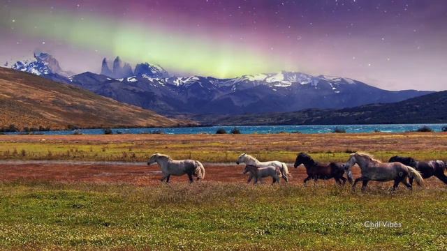 Ethereal Andean Panflute Meditation Music | Relaxing Flute Melodies For Inner Peace And Tranquility