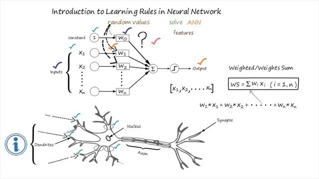 Introduction to Artificial Neural Networks & Bias смотреть онлайн