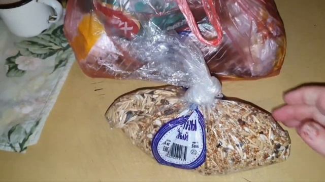 ЗАКРЫЛА ДАЧНЫЙ СЕЗОН!?Снт Бумажник 25лет там не была.?❄️Как мы виноград укрываем!? смотреть онлайн