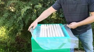 Зимовка в ульях ППУ