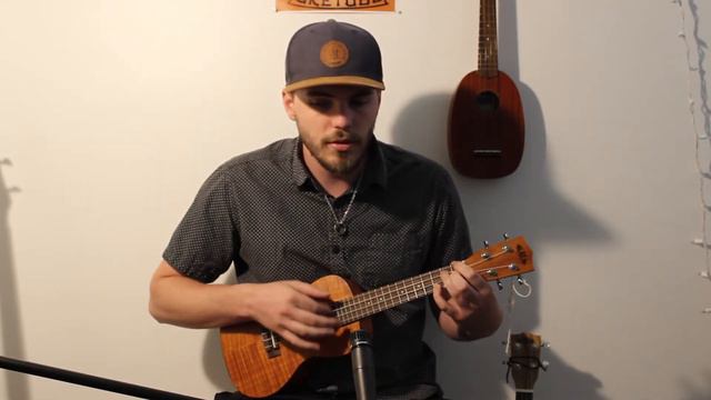 Remember Me - Coco (Ukulele Cover) смотреть онлайн