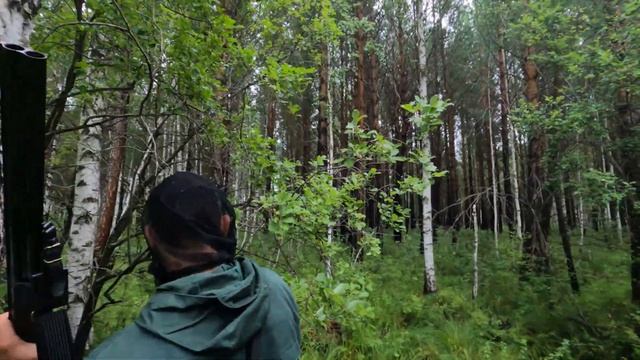 Охота на косулю на реву с манком. смотреть онлайн