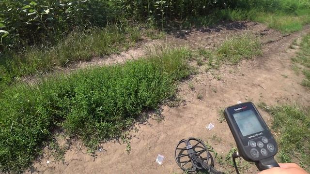 Тест на ЗОЛОТО с МД Nokta Makro Simplex plus. смотреть онлайн