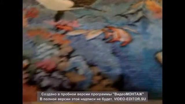 Жизнь океана смотреть онлайн