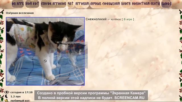 Пися, 72 и Канзакцик.