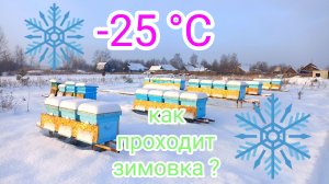 Зимовка пчёл на улице в мороз! ❄️❄️❄️ПЧЕЛОВОДСТВО!