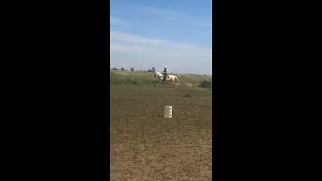 Trail Course 2018// Doc’s Nu Duster and Amelia Dyal смотреть онлайн