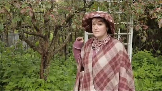 Идеальный сад 15 1 смотреть онлайн