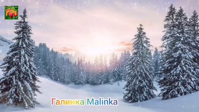 Лена Хеппи //Igor YANA USA //Обзор Влогов // смотреть онлайн