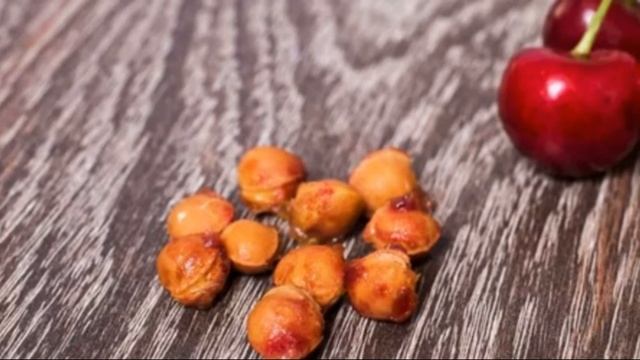 Черешня Саммит – урожайный сорт канадского происхождения смотреть онлайн