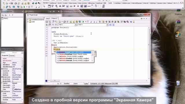 Вирус для курсора на Delphi 7 смотреть онлайн