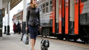 Как перевозить собаку в поезде и электричке