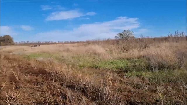 Героїчний подвиг науковців - аграріїв!