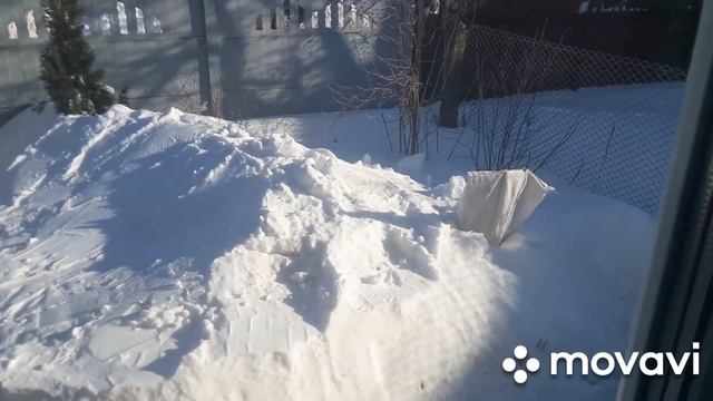 Мороз, рассада, драники и холодец смотреть онлайн