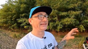 ПРОЩАЙ ХОНДА | Отзыв владельца на мотоцикл HONDA CBR 600 F3 | ОБСЛУЖИВАНИЕ | ПЛЮСЫ И МИНУСЫ |