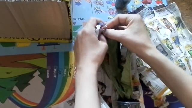 Стрептокарпусы почтой, часть 1. смотреть онлайн